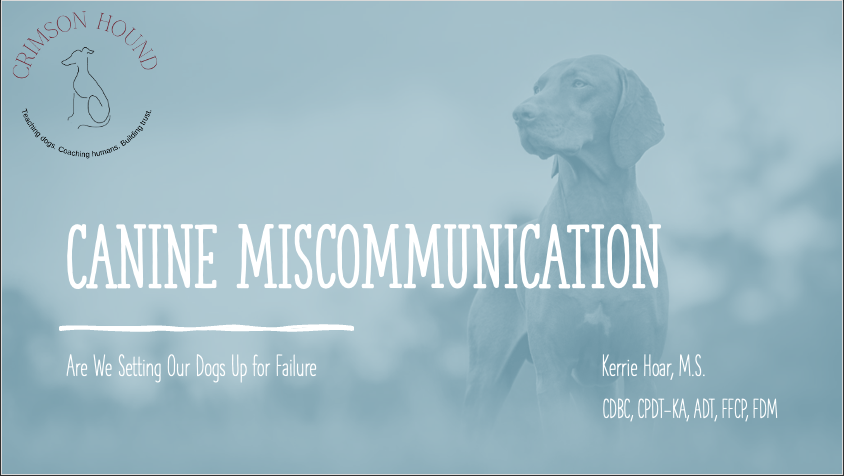 Canine Miscommunication